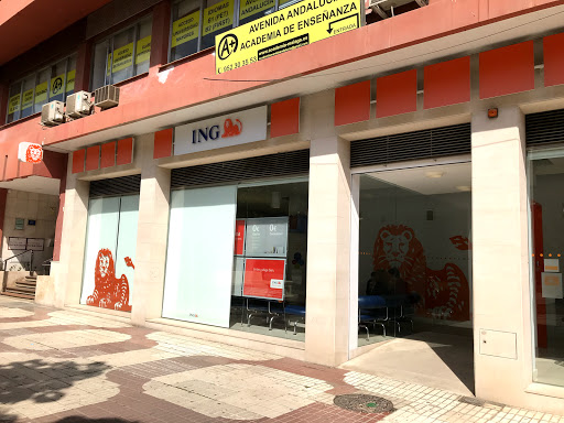 Banco Ing Bank